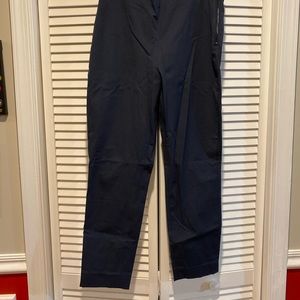 Everlane Stretch Cotton Work Pant
